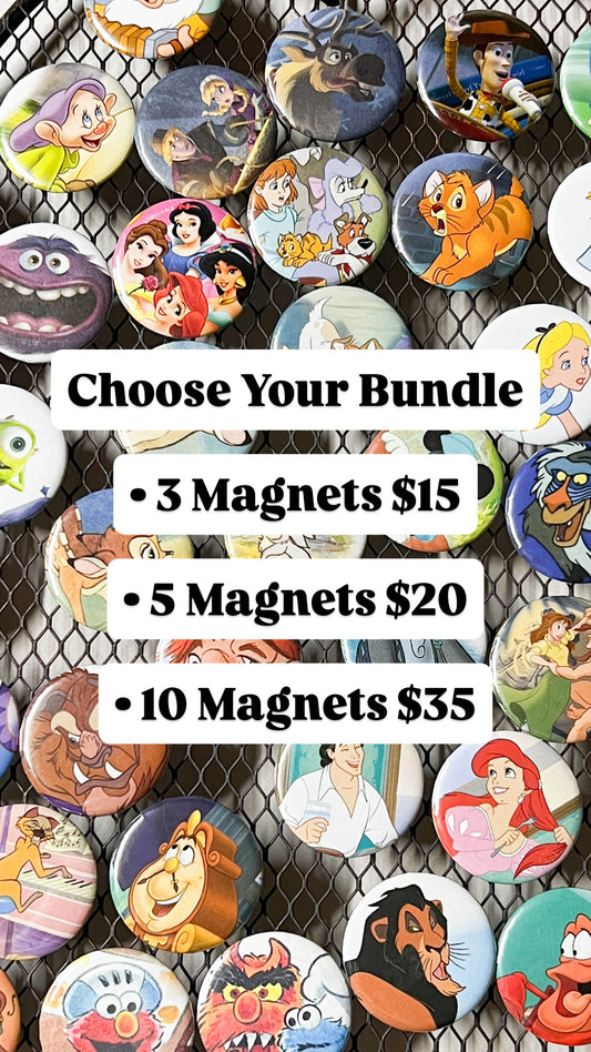 Mystery Fridge Magnet Bundles ♻️✨