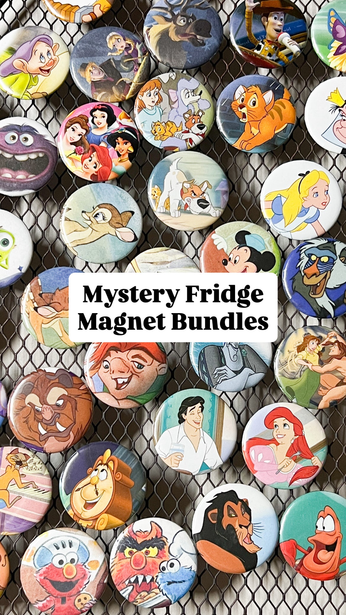 Mystery Fridge Magnet Bundles ♻️✨