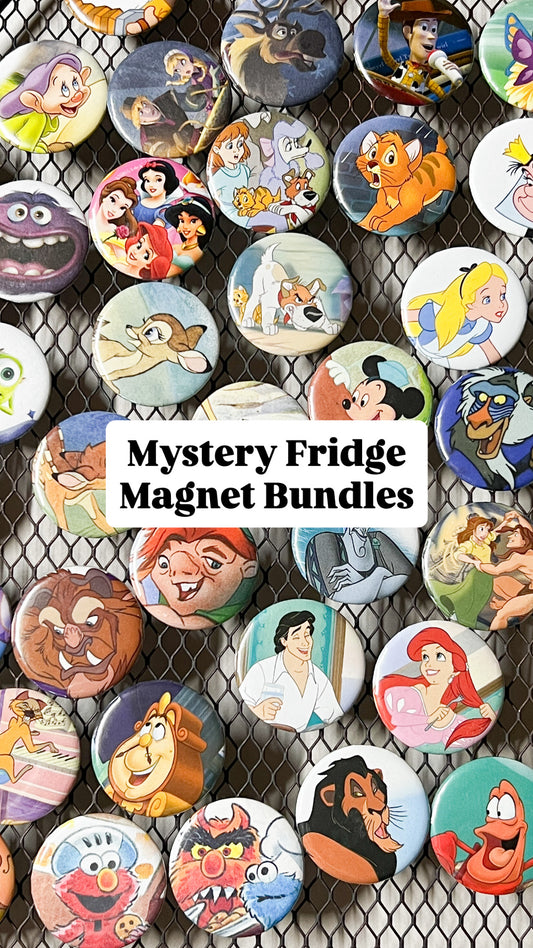 Mystery Fridge Magnet Bundles ♻️✨